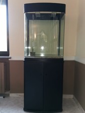 Acquario vetro curvo usato  Torre Canavese