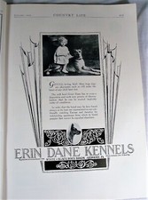 Vtg 1929 great for sale  Oakland