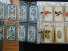 greyhound card for sale greyhound card for sale MELTON MOWBRAY