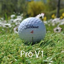 Titleist prov1 pro gebraucht kaufen  Wiesbaden