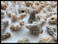 Coral 1.5 pebble for sale  Jensen Beach