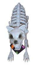 Halloween skeleton cat d'occasion  Expédié en Belgium