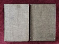 Antique Books PARADISE OF THE HOLY FATHERS Vols 1 & 2 By E. W. Budge 1907 1st Ed comprar usado  Enviando para Brazil