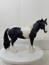 Piebald black white for sale  NORWICH
