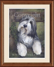 Bearded collie portrait d'occasion  Expédié en Belgium