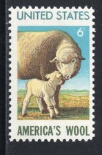 1423 ewe lamb for sale  Palm Bay