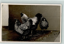 39191787 gefluegel silber gebraucht kaufen  Eimeldingen