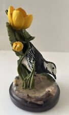 British birds pied for sale  COLCHESTER