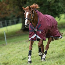 Horseware rambo wug d'occasion  Expédié en France