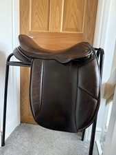 Pony cob horse for sale  TODMORDEN
