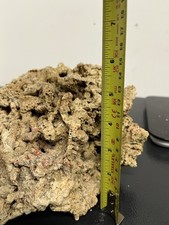 Reef aquarium live for sale  IPSWICH