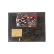 Dale earnhardt wood for sale  Mahomet