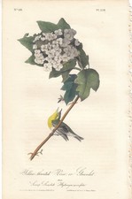antique lithographs for sale  Cleveland
