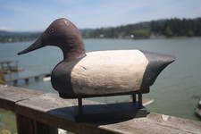 Canvasback drake decoy for sale  Lincoln City