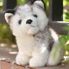 Cute husky dog d'occasion  Expédié en Belgium