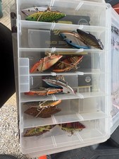 Lote de iscas de pesca para chocalho comprar usado  Enviando para Brazil