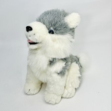 Cuddle wit siberian for sale  Grain Valley