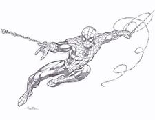 Spider man convention for sale  Gardner