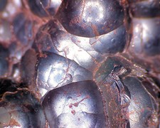 Harz minerale roter gebraucht kaufen  Hameln