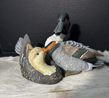 Pair mallard ducks for sale  Rosenberg