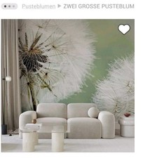 Fototapete pusteblume 300x231c gebraucht kaufen  Schönau