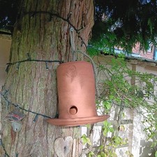 pottery birds for sale  SHEFFIELD