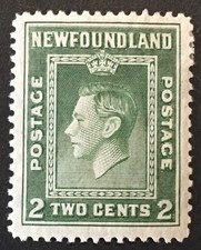Canada newfoundland king for sale  BILLERICAY