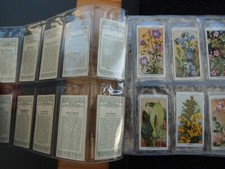 cigarette cards wild flowers for sale cigarette cards wild flowers for sale MELTON MOWBRAY