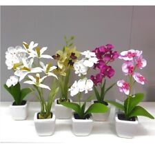 Rchideen topf phalaenopsis gebraucht kaufen  Deutschland