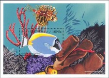 Eritrea 1997 pesce usato  Italia