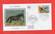 Fdc chevaux pottok d'occasion  Nogent