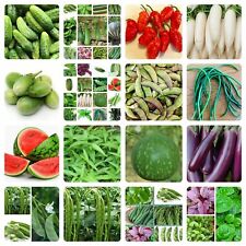 Asian bangladeshi vegetable for sale  CROYDON