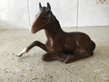 Beswick brown foal for sale  BURY