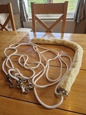 Pessoa genuine lunging for sale  BUCKINGHAM