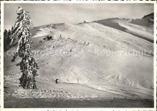 Tanzboden panorama gebraucht kaufen  Deutschland