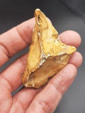 Middle paleolithic neanderthal d'occasion  Bonneville