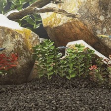 Basalt gravel aquarium for sale  LONDON