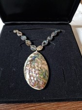 Abalone perlmutt muschel gebraucht kaufen  Hamm