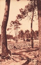Ile oleron maison d'occasion  France