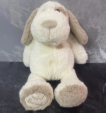 First harrods puppy for sale  MIDDLESBROUGH