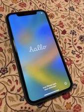 Apple iphone space usato  Roma