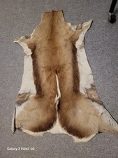 New genuine natural for sale  LONDON