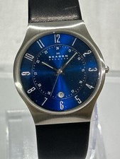 Skagen titanium 34mm for sale  Naperville