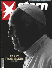 Stern papst franziskus gebraucht kaufen  Salzgitter