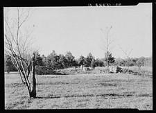 Eastern shore land for sale  USA