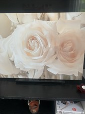 Stunning roses canvas. for sale  COVENTRY