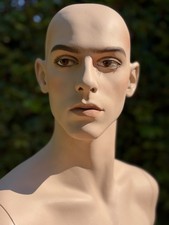 Rootstein mannequin moose for sale  Rancho Mirage