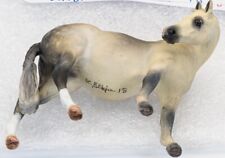 pony mare for sale  Tucson