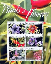 Guyana plants flowers for sale  Rancho Cordova