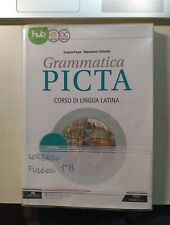 Grammatica picta. lezioni. usato  Seriate